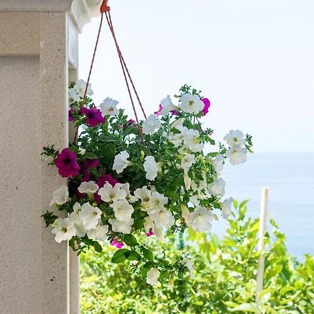 Apartments Villa Bella Vista Gornji Dingac ภายนอก รูปภาพ